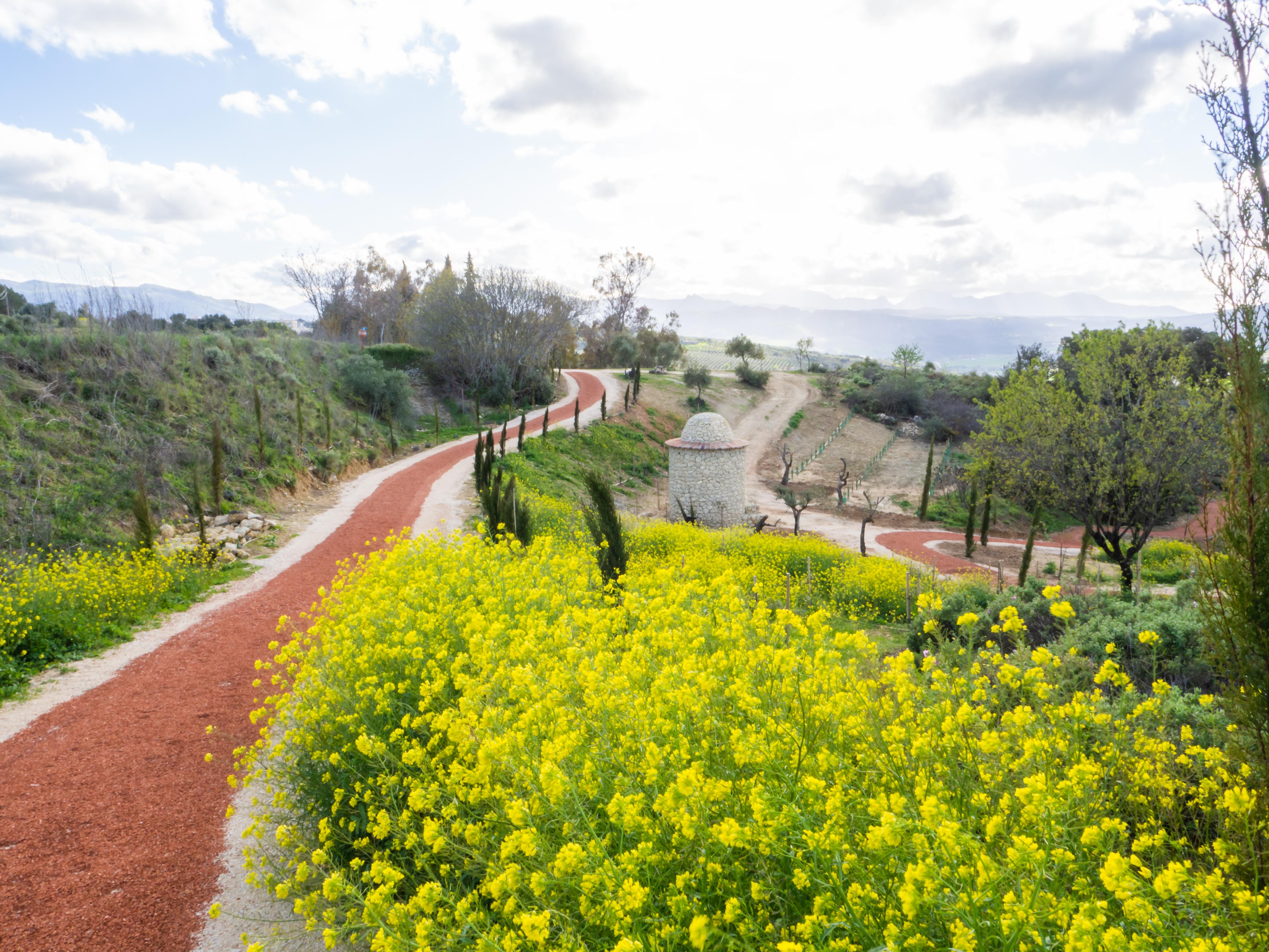 Cortijo La Organic Hotel Ronda Luaran gambar