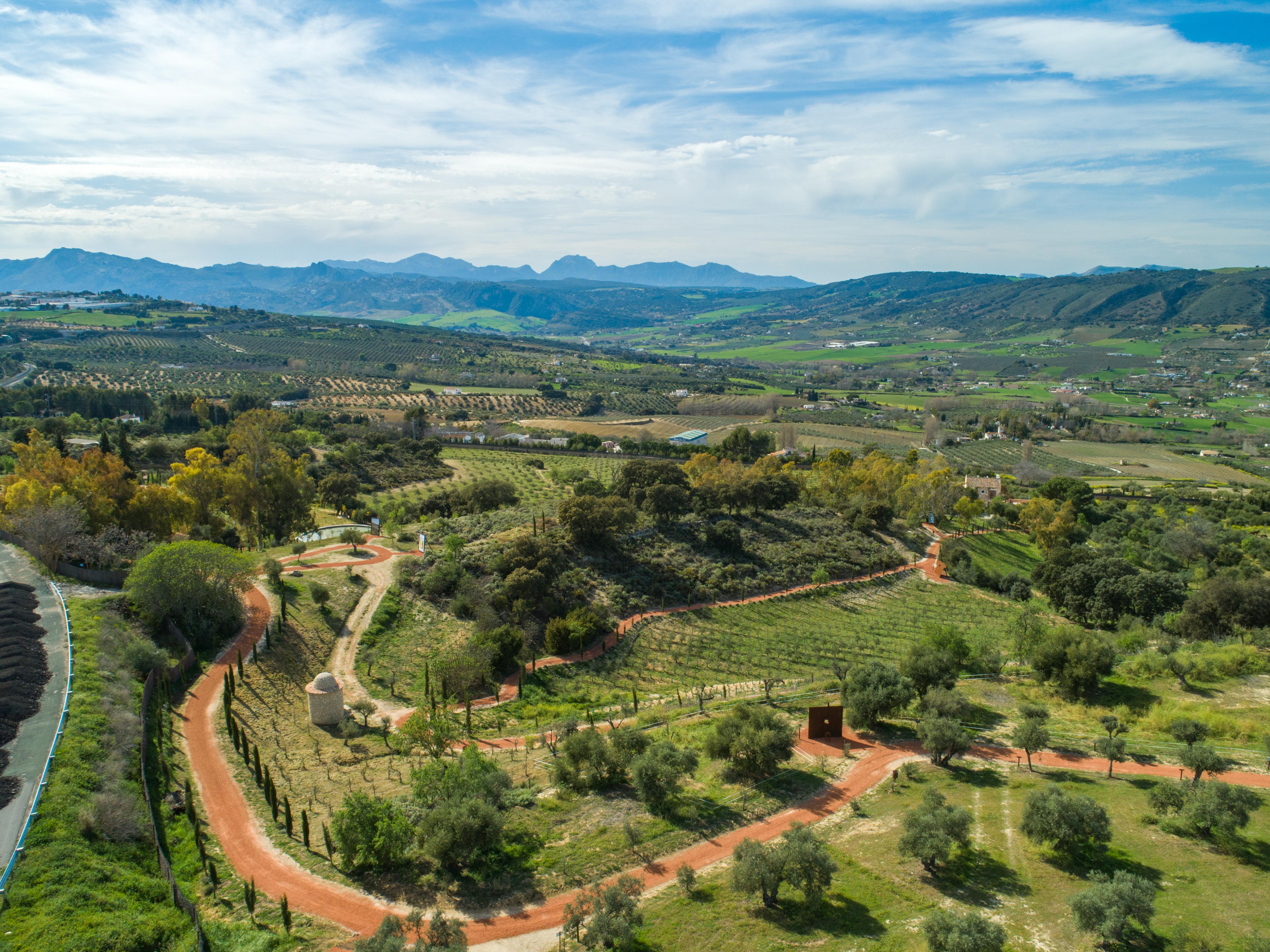 Cortijo La Organic Hotel Ronda Luaran gambar