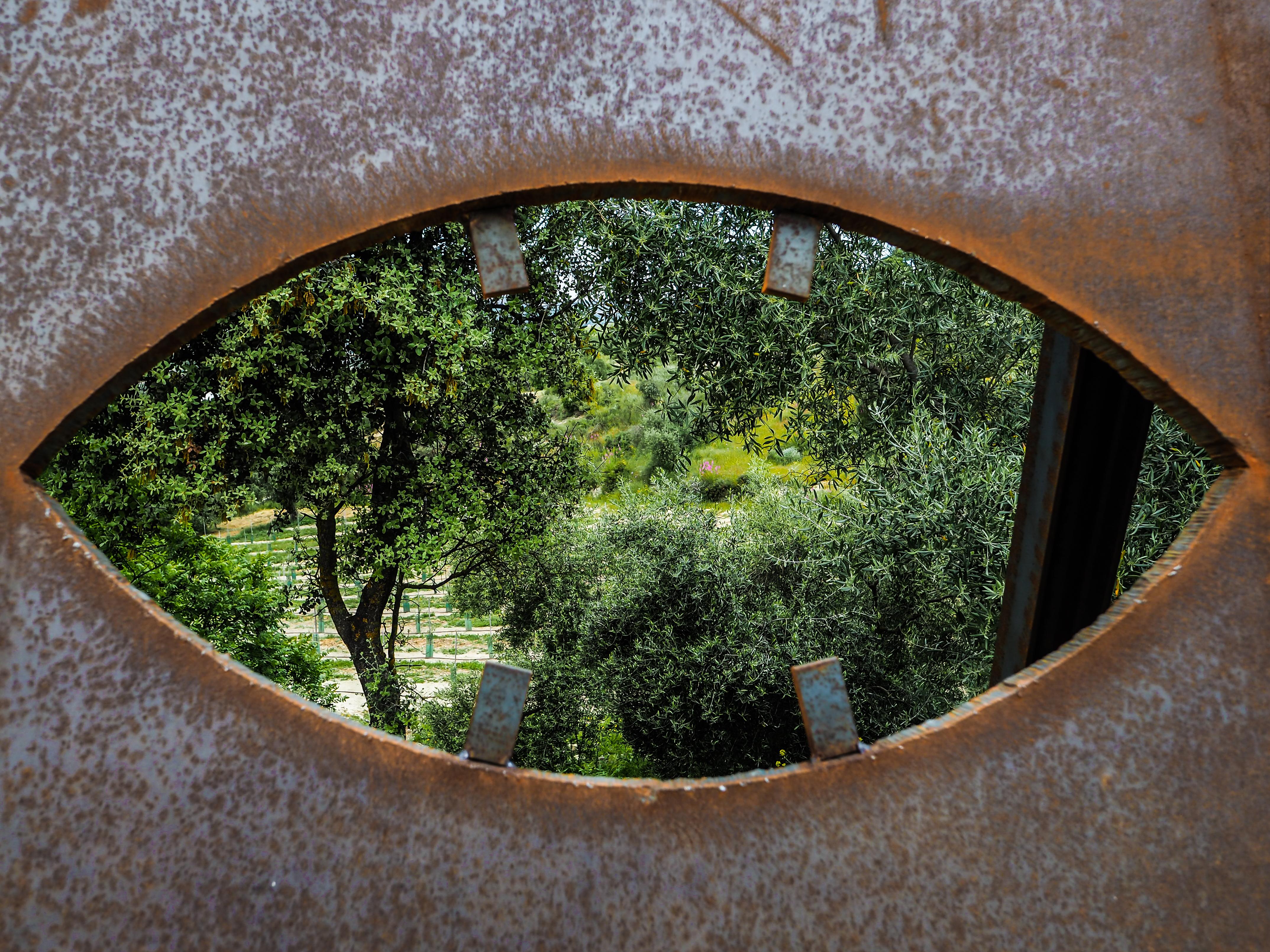 Cortijo La Organic Hotel Ronda Luaran gambar