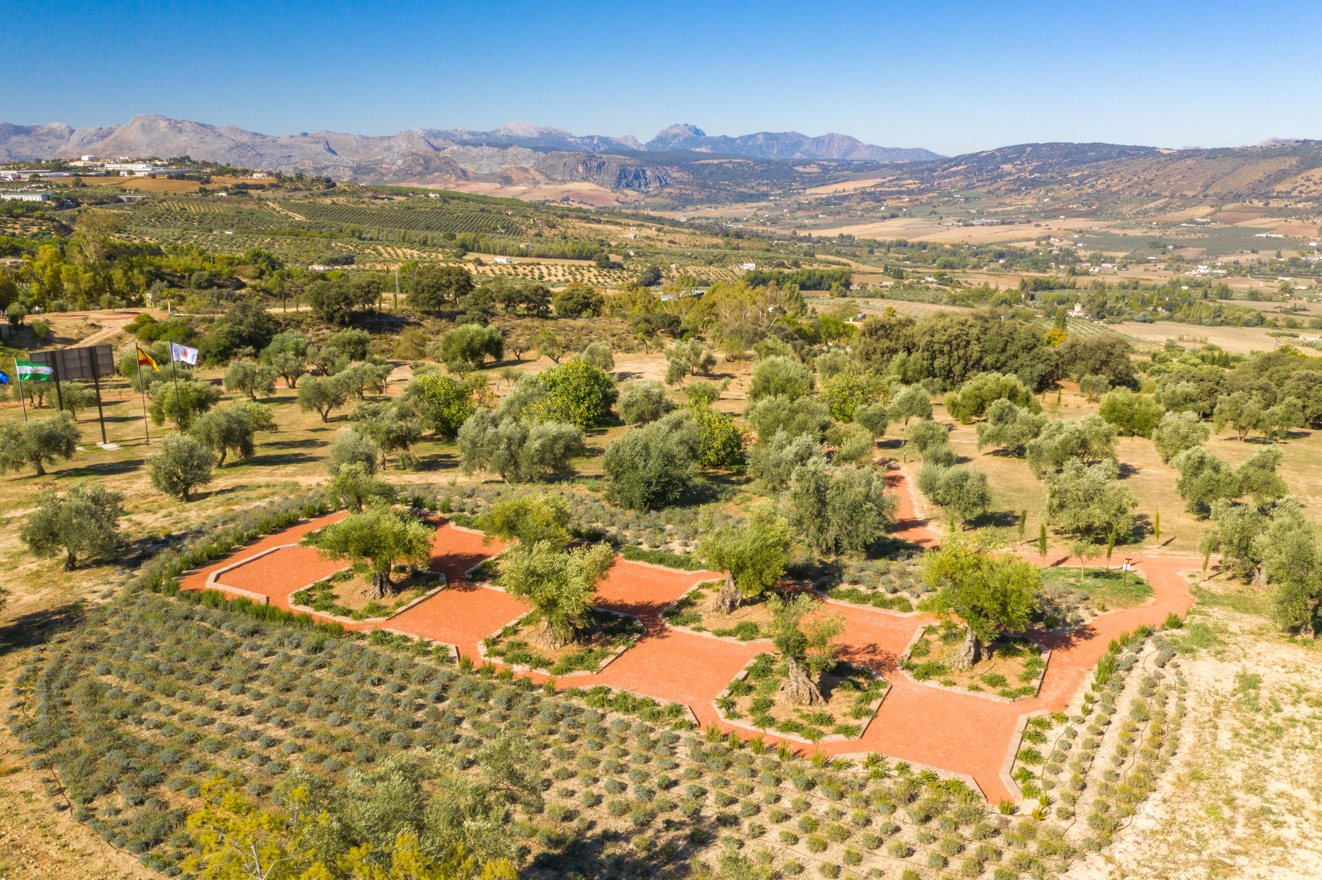 Cortijo La Organic Hotel Ronda Luaran gambar