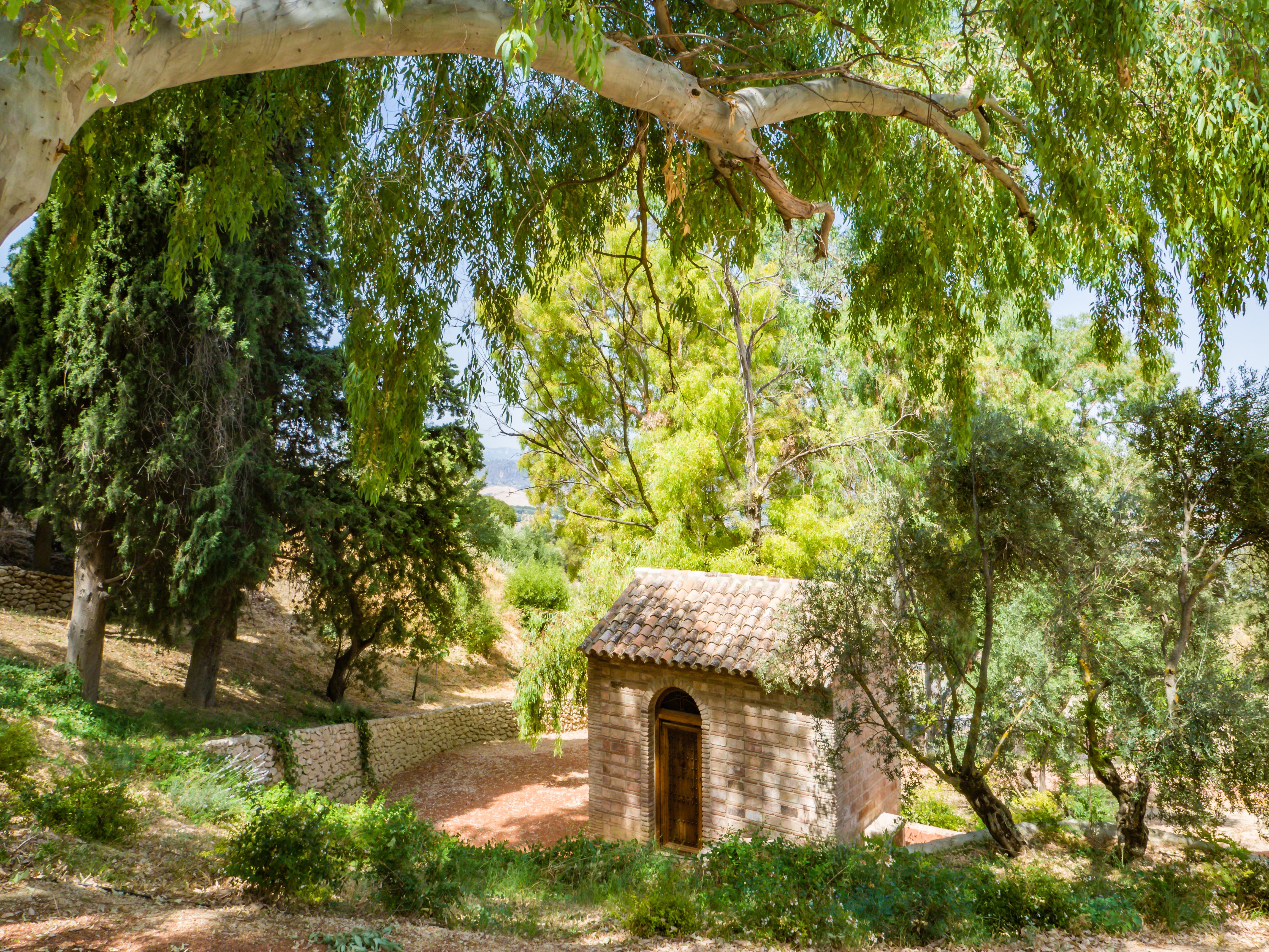 Cortijo La Organic Hotel Ronda Luaran gambar
